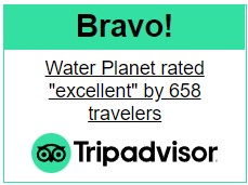 Bravo! Water Planet rated excellent by 658 travelers